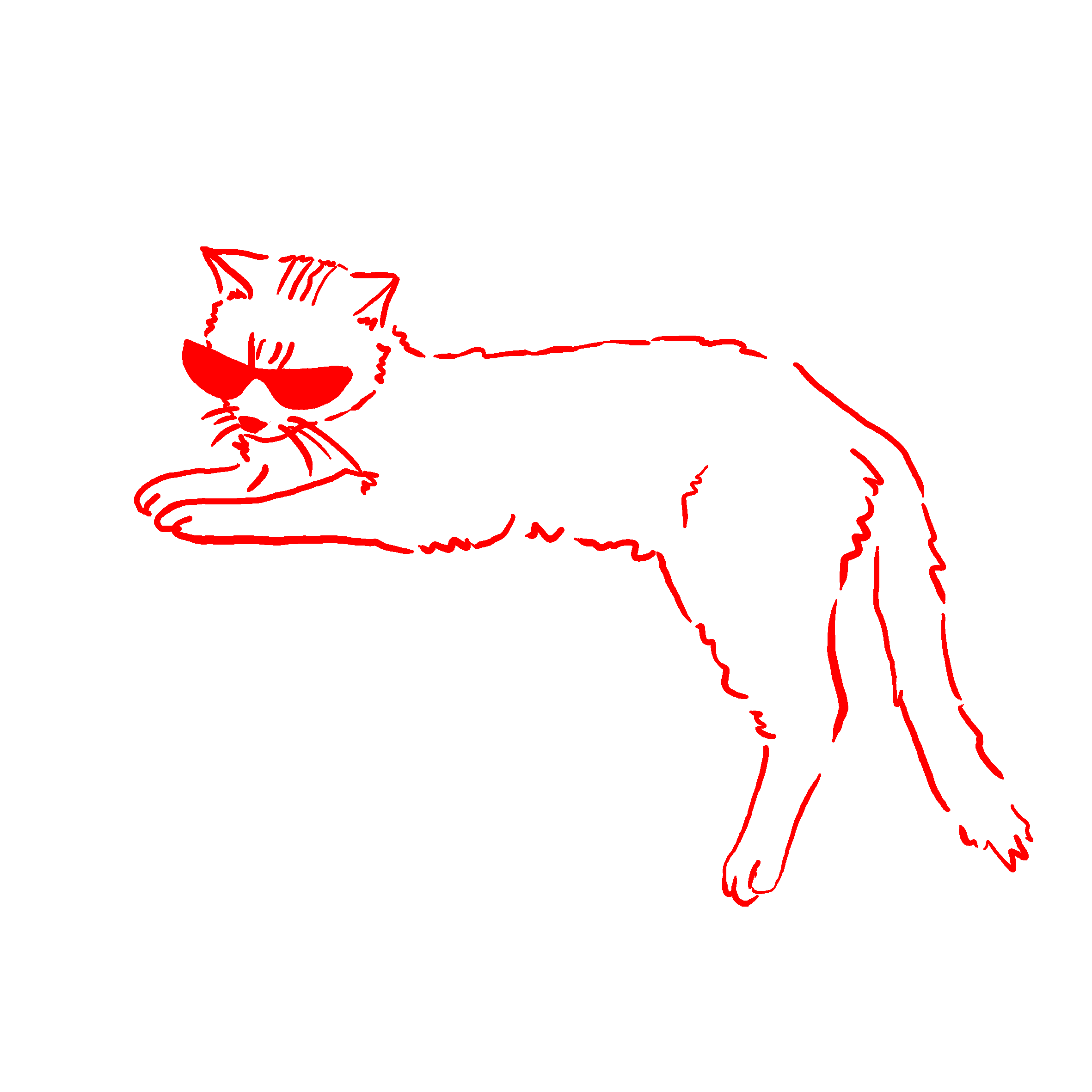 Chat clin d'oeil