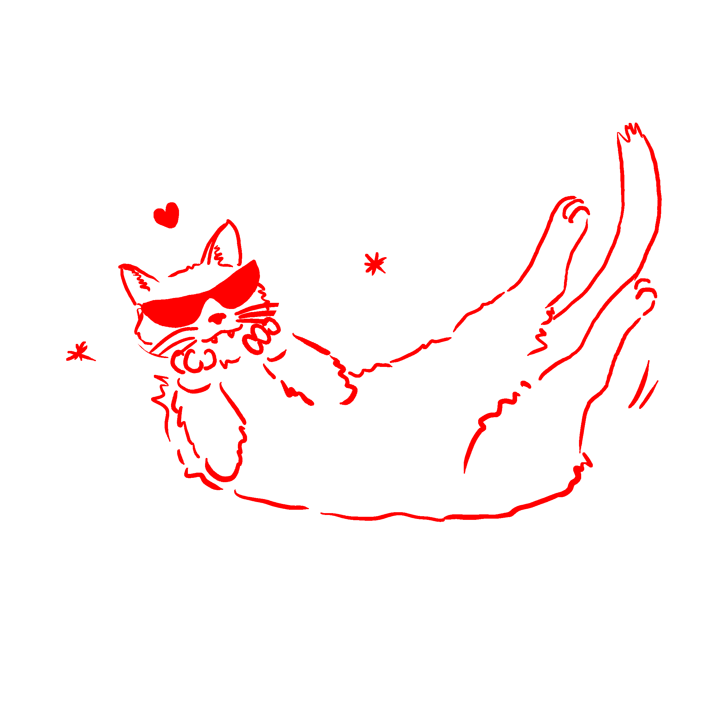 Chat qui danse